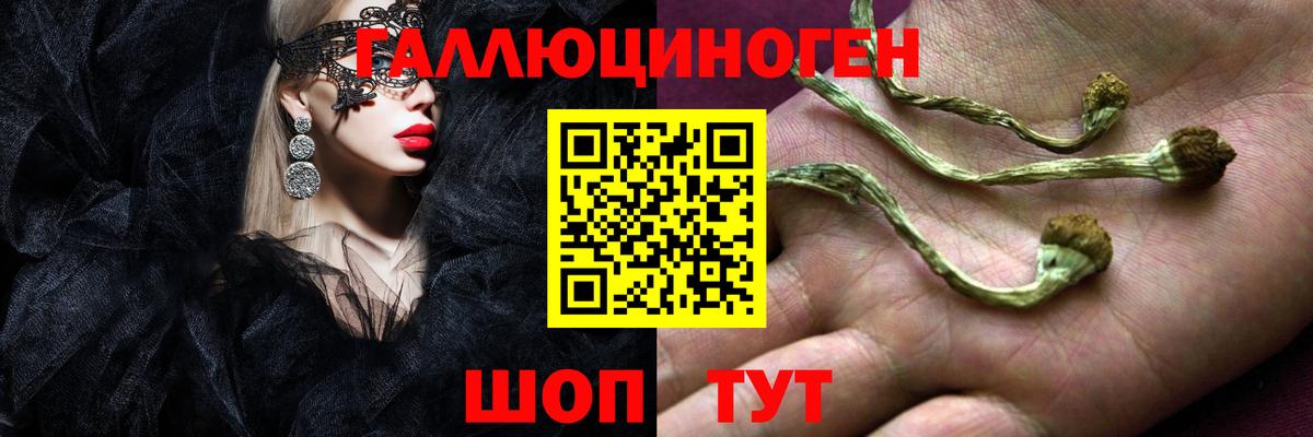 Наро-Фоминск  Псилоцибиновые грибы мухоморы  Вход с VPN 