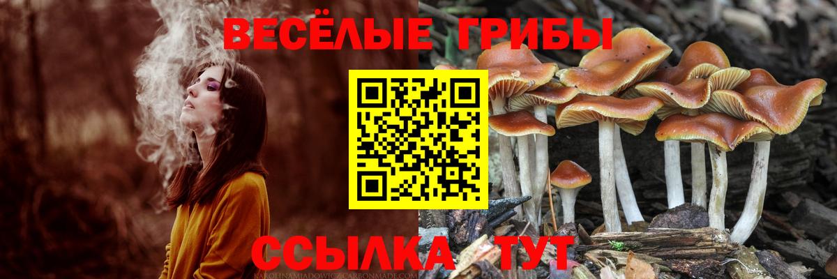КОКАИН  КОКАИН  Вход с VPN  Меф   Меф МЯУ МЯУ  ГАШ  Марихуана  Наро-Фоминск  МАРИХУАНА 
